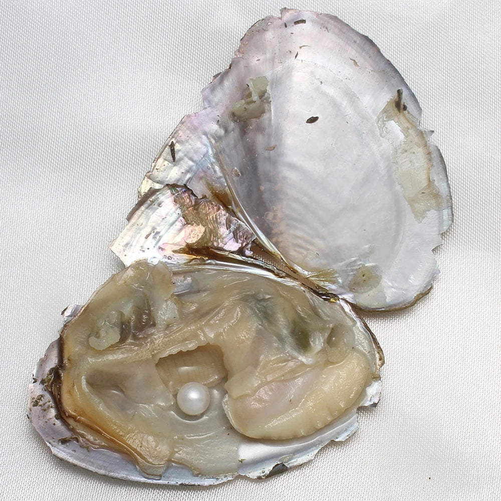 Pearl Oyster AA+ 7-8mm Vacuum-Pack — 10PC Single Cultivated Pearls Gift Set — view 6 of pearl sets