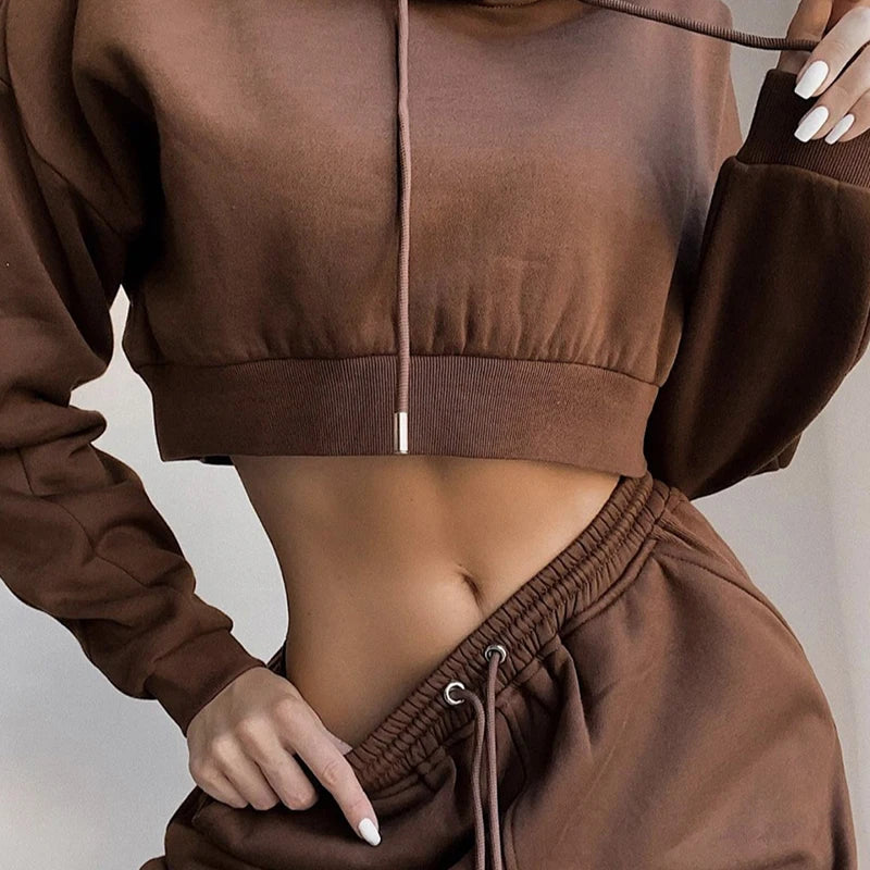Plus-Size Hooded Tracksuit &mdash; Women&rsquo;s Autumn Loose Large-Size Sweatshirt &amp; Pants Set — view 3 of tracksuits