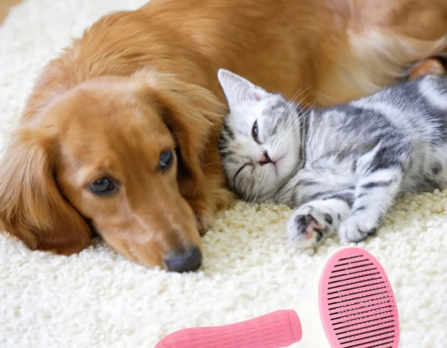 Non-Slip Pet Grooming Brush, Massage & Deshedding Tool — product photo 1