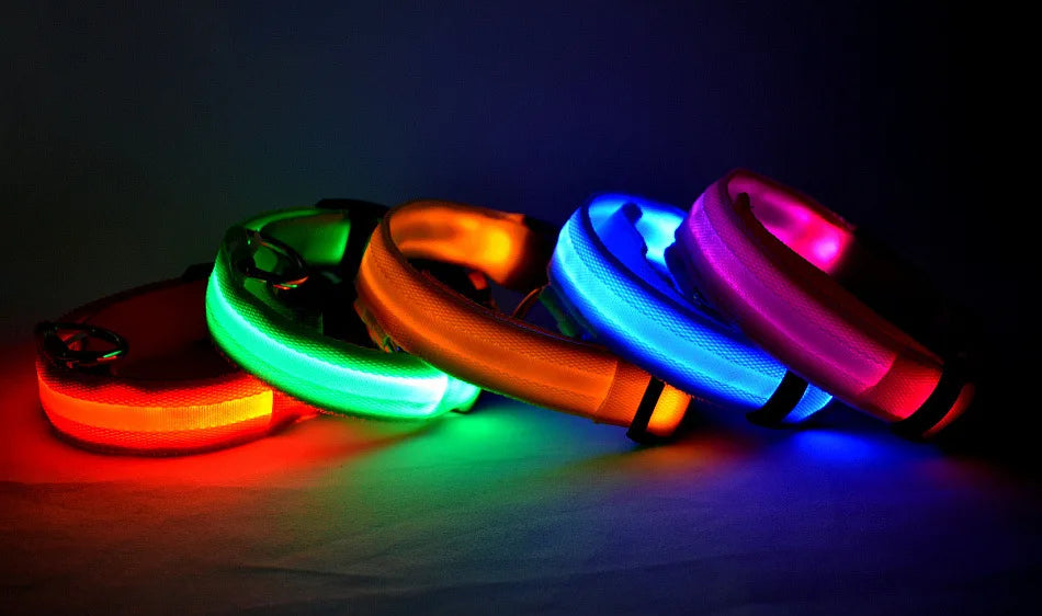 LED Dog Collar — USB Rechargeable Safety Glow Collar for Dogs