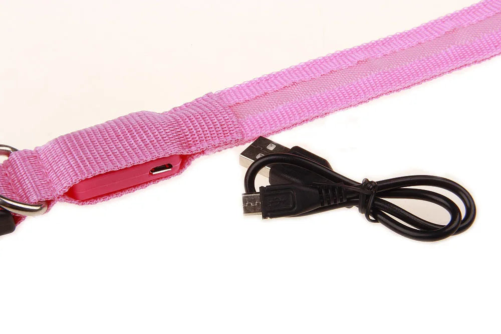 LED Dog Collar — USB Rechargeable Safety Glow Collar for Dogs