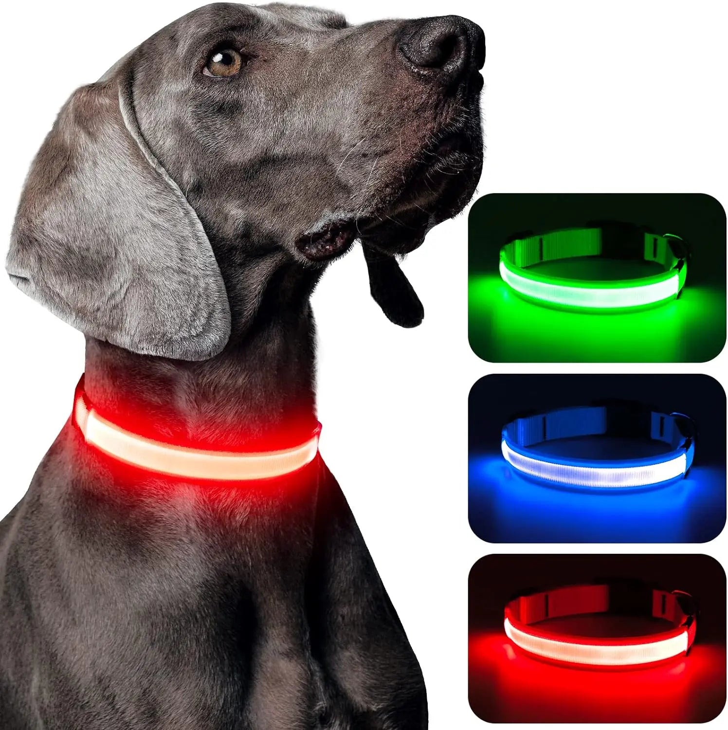 LED Dog Collar — USB Rechargeable Safety Glow Collar for Dogs