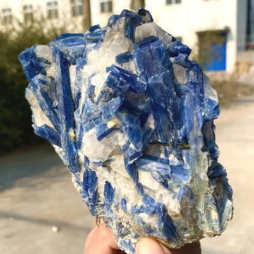 Crystal & Gemstone Kyanite Raw Specimen — 800-1000g Blue Mineral Healing Crystal Decor — view 1 of crystal & gemstone