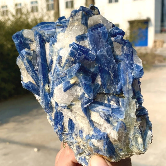 Crystal & Gemstone Kyanite Raw Specimen — 800-1000g Blue Mineral Healing Crystal Decor — view 1 of crystal & gemstone