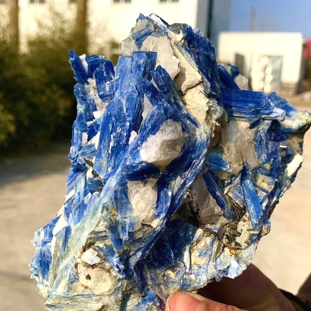 Crystal & Gemstone Kyanite Raw Specimen — 800-1000g Blue Mineral Healing Crystal Decor — view 6 of crystal & gemstone