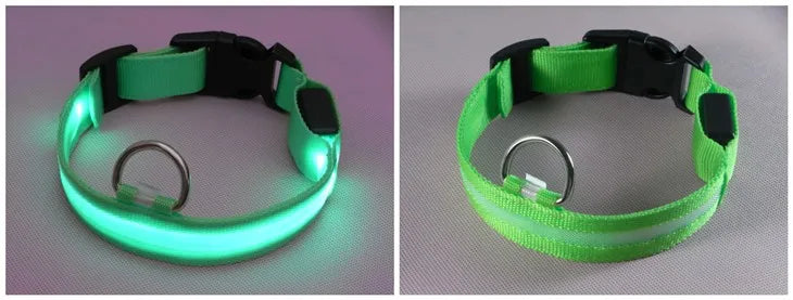 LED Dog Collar — USB Rechargeable Safety Glow Collar for Dogs