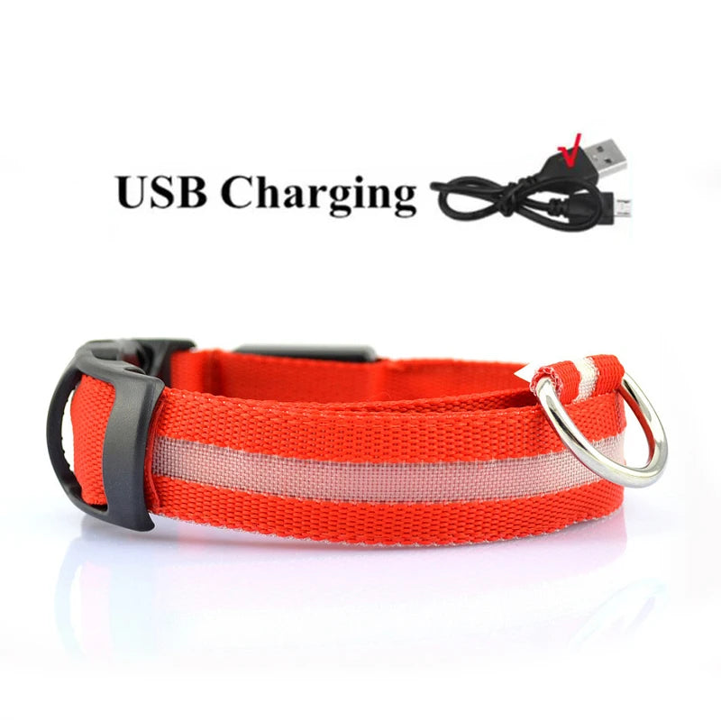 LED Dog Collar — USB Rechargeable Safety Glow Collar for Dogs