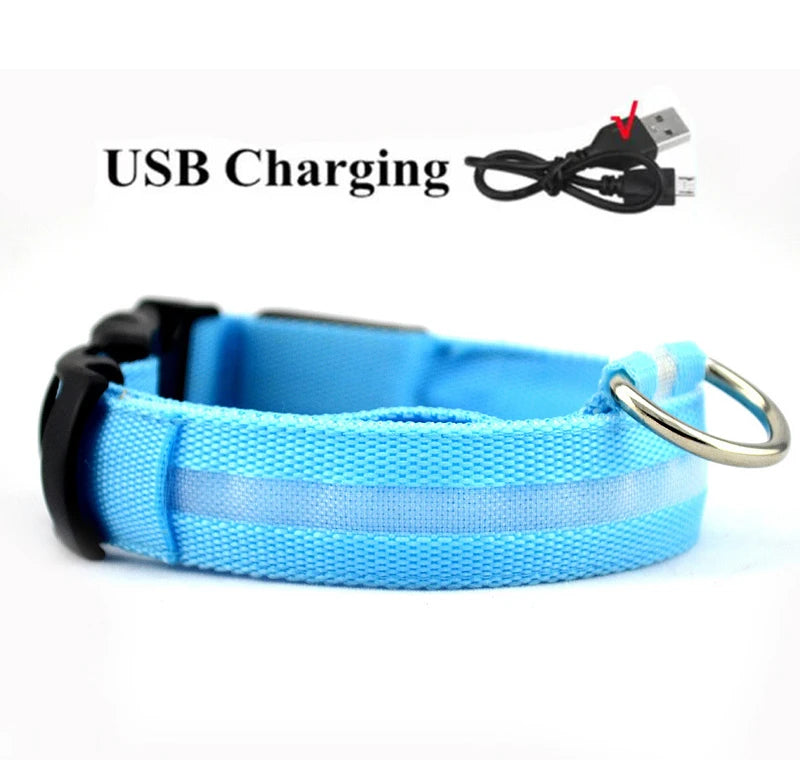 LED Dog Collar — USB Rechargeable Safety Glow Collar for Dogs
