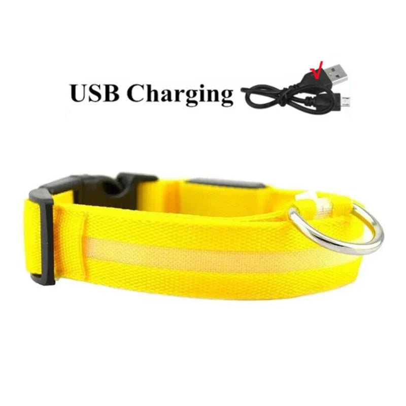 LED Dog Collar — USB Rechargeable Safety Glow Collar for Dogs