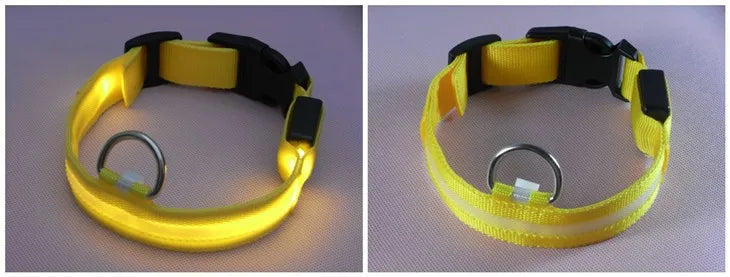 LED Dog Collar — USB Rechargeable Safety Glow Collar for Dogs