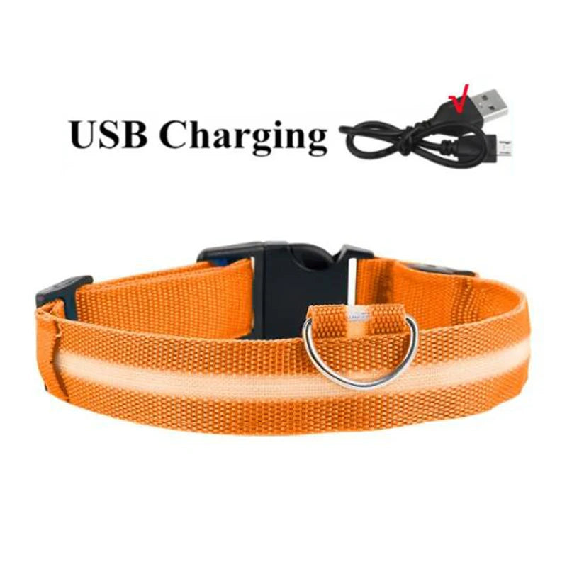 LED Dog Collar — USB Rechargeable Safety Glow Collar for Dogs