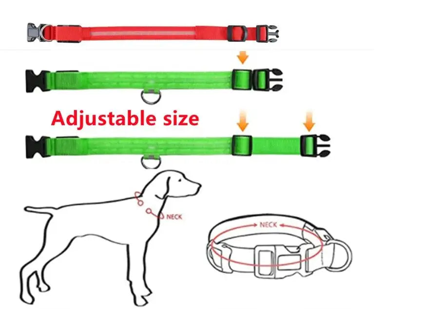 LED Dog Collar — USB Rechargeable Safety Glow Collar for Dogs