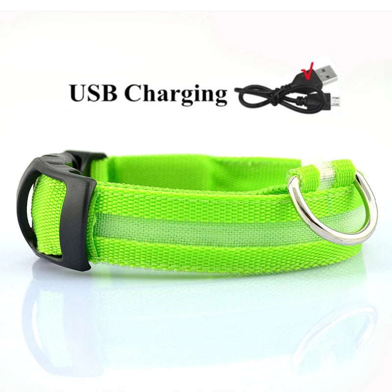 LED Dog Collar — USB Rechargeable Safety Glow Collar for Dogs