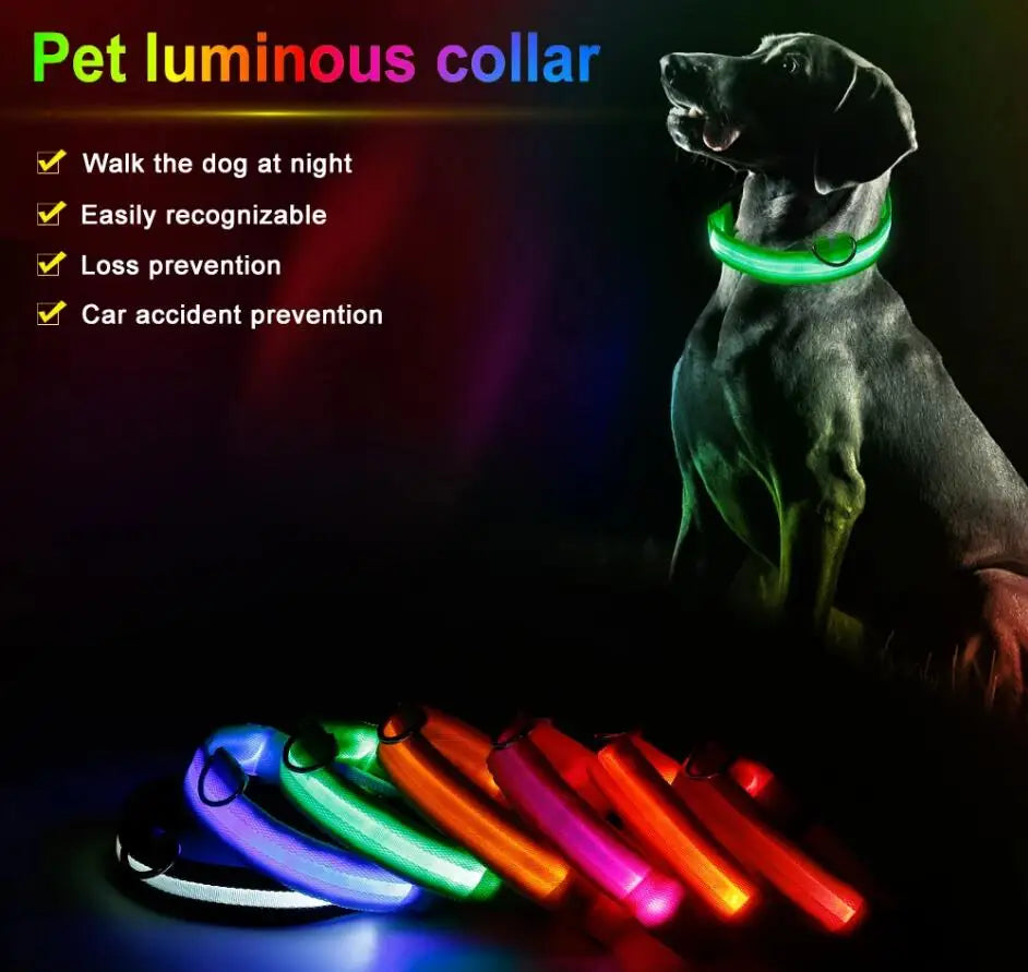 LED Dog Collar — USB Rechargeable Safety Glow Collar for Dogs