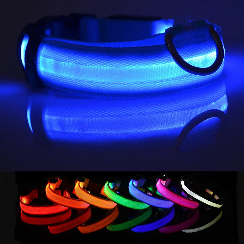 LED Dog Collar — USB Rechargeable Safety Glow Collar for Dogs