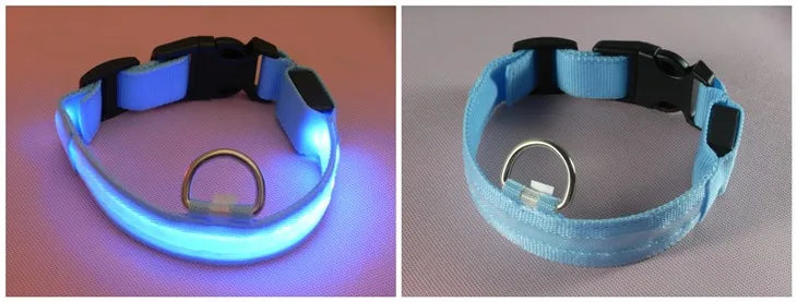 LED Dog Collar — USB Rechargeable Safety Glow Collar for Dogs