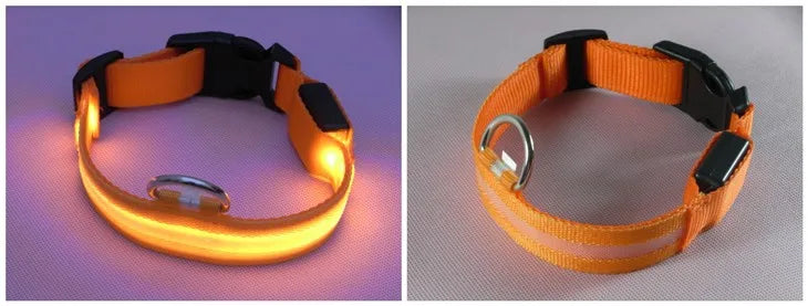 LED Dog Collar — USB Rechargeable Safety Glow Collar for Dogs