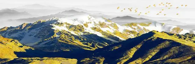 Lake Forest Mountain Landscape Canvas Poster &mdash; Scenery Wall Art for Living Room &amp; Bedroom — view 15 of wall art & prints