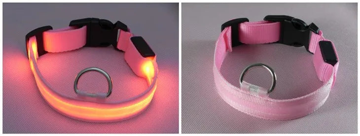 LED Dog Collar — USB Rechargeable Safety Glow Collar for Dogs