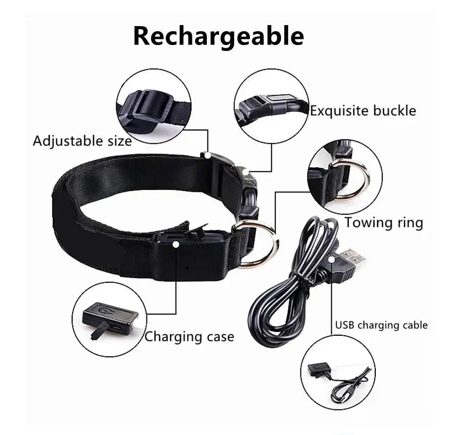 LED Dog Collar — USB Rechargeable Safety Glow Collar for Dogs