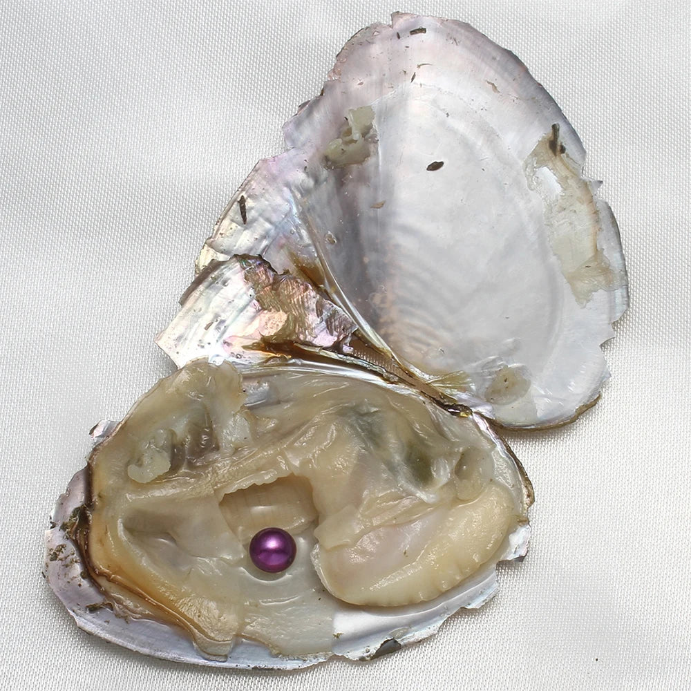 Pearl Oyster AA+ 7-8mm Vacuum-Pack — 10PC Single Cultivated Pearls Gift Set — view 5 of pearl sets