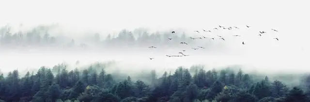 Lake Forest Mountain Landscape Canvas Poster &mdash; Scenery Wall Art for Living Room &amp; Bedroom — view 14 of wall art & prints