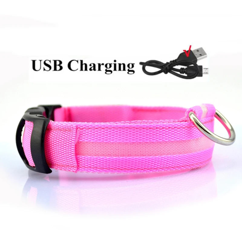 LED Dog Collar — USB Rechargeable Safety Glow Collar for Dogs
