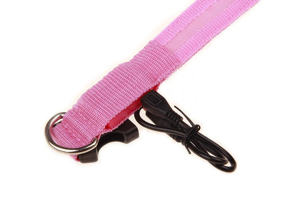 LED Dog Collar — USB Rechargeable Safety Glow Collar for Dogs