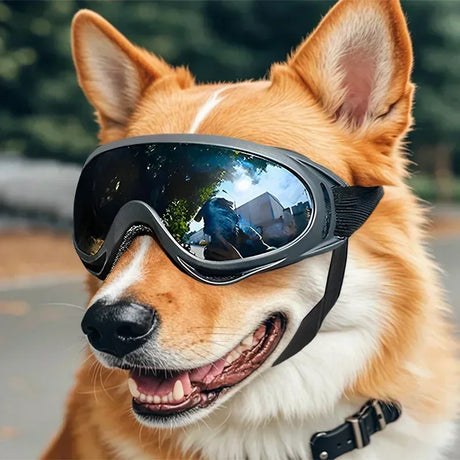 Dog Goggles — Adjustable Anti-UV Windproof Pet Sunglasses — view 1 of pet supplies