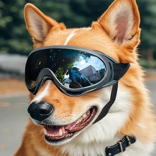 Dog Goggles — Adjustable Anti-UV Windproof Pet Sunglasses