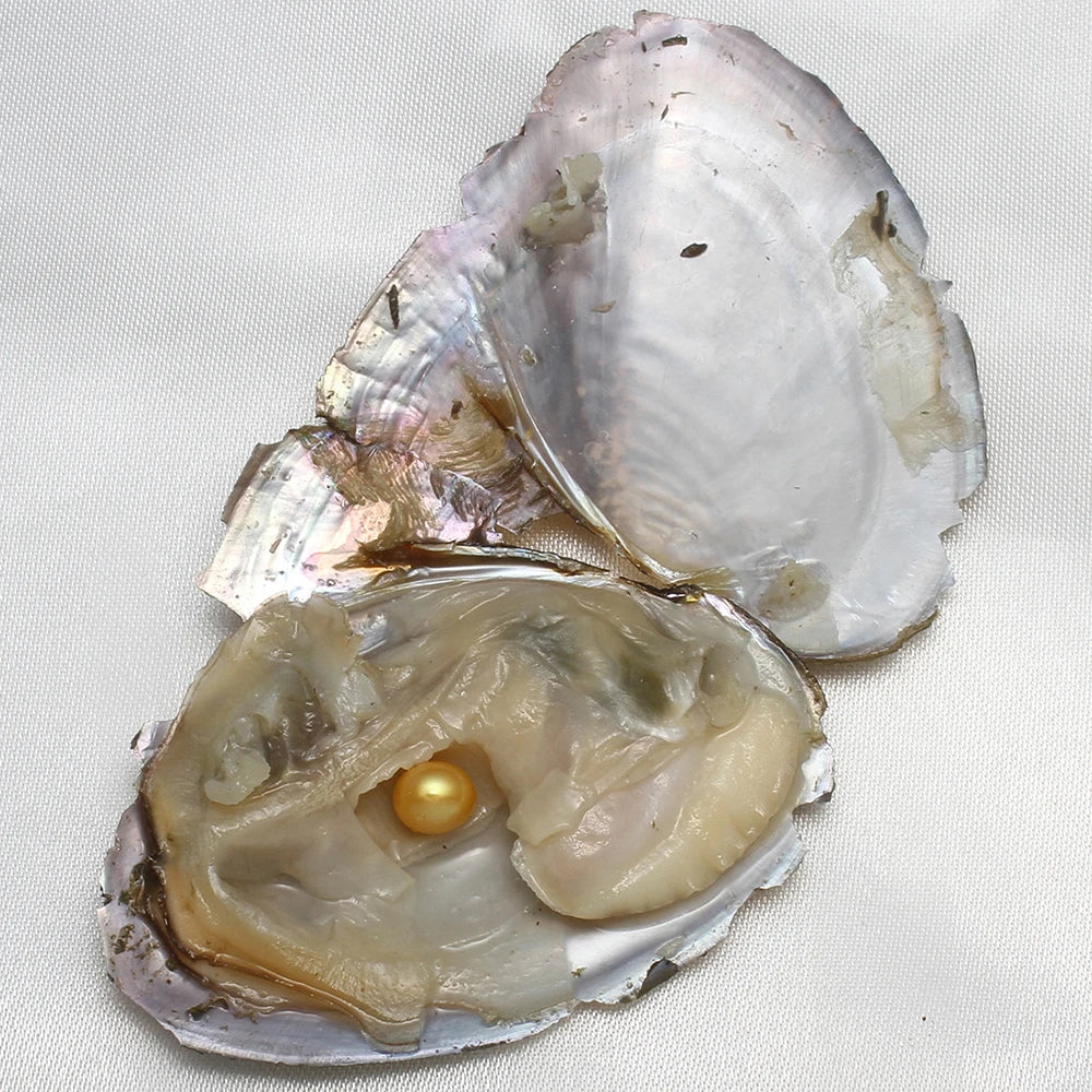 Pearl Oyster AA+ 7-8mm Vacuum-Pack — 10PC Single Cultivated Pearls Gift Set — view 2 of pearl sets