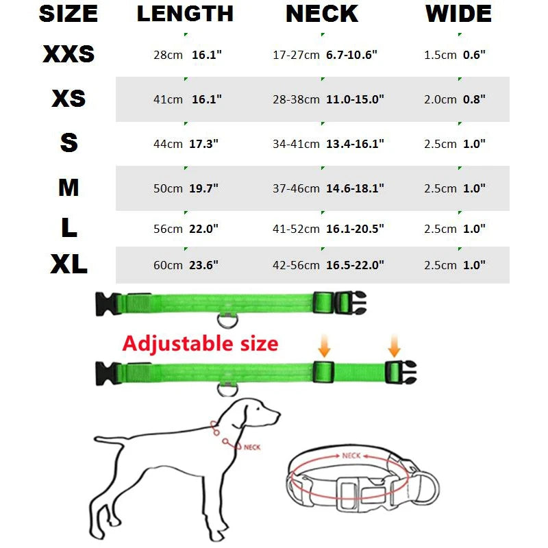 LED Dog Collar — USB Rechargeable Safety Glow Collar for Dogs