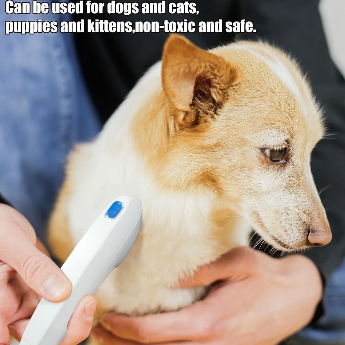 2-in-1 Pet Brush - Gentle Hair Removal and Combing for Cats and Dogs, with Durable Stainless Steel Comb Teeth and Comfortable Handle Grip